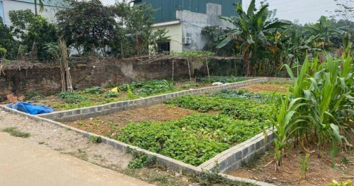 Một thửa đất, ba mức giá