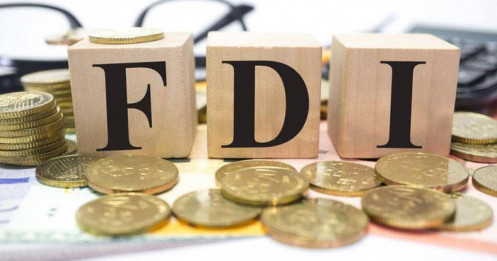 Đánh thuế 'đại bàng FDI'