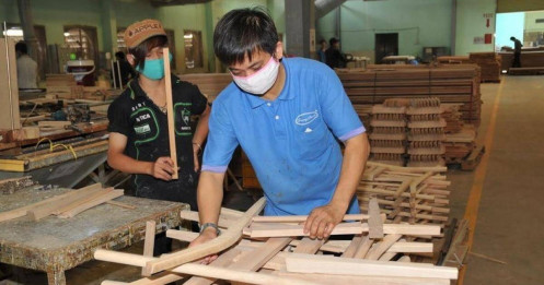 Một doanh nghiệp ngành gỗ “ôm” lỗ luỹ kế hơn 3.000 tỷ đồng