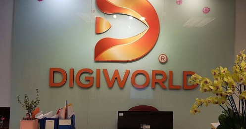 Giữa “bão sa thải”, Digiworld vẫn chơi lớn khi tăng lương cho nhân viên?