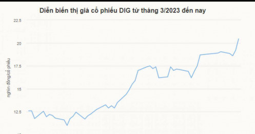 Cổ phiếu DIG dậy sóng