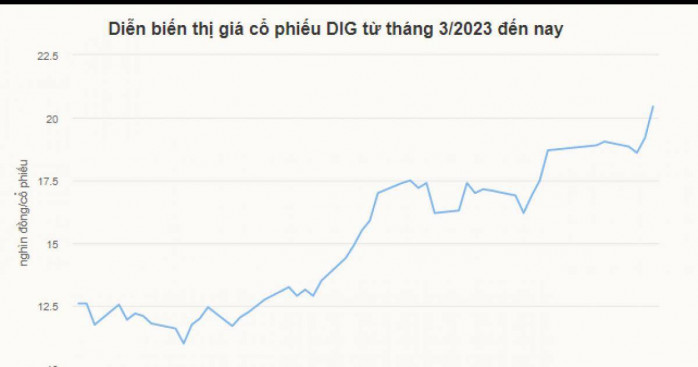 Cổ phiếu DIG dậy sóng
