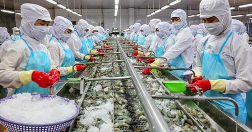 Ngân hàng đang 'vô cảm' trước 'nỗi đau' của doanh nghiệp?