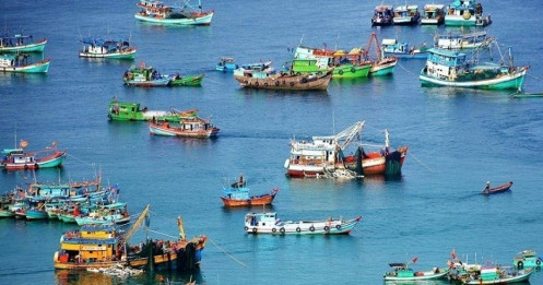 “Nốt trầm” của doanh nghiệp thủy sản trong quý đầu năm 2023