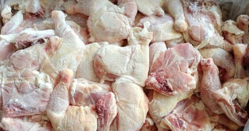 Số liệu gây choáng: Hàng chục nghìn tấn gà thải nhập vào Việt Nam mỗi tháng
