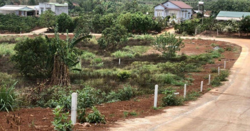 Lâm Đồng bỏ hai văn bản hạn chế tách thửa đất