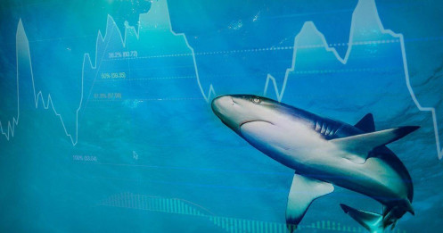 Cá mập phân phối cổ phiếu như thế nào? Wyckoff distribution schematic