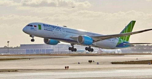 NCB muốn chuyển nhượng hơn 200 triệu cp Bamboo Airways để thu hồi vốn