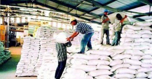 Tổng cục Dự trữ Nhà nước đấu thầu mua 220.000 tấn gạo 
