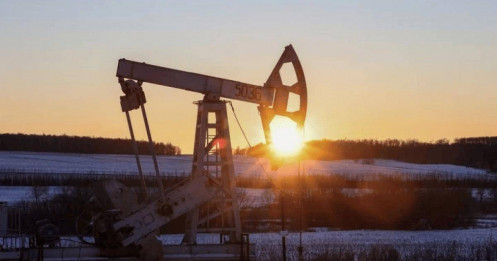Nga cắt giảm sản lượng 500.000 thùng dầu/ngày đến cuối năm 2024