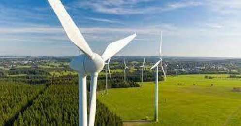 Agribank rao bán nợ công ty tuabin điện gió, giá khởi điểm 1.649 tỷ đồng