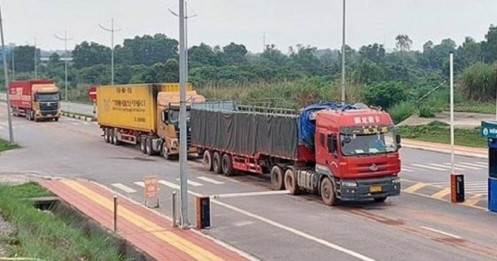 Hàng hóa xuất nhập khẩu qua cửa khẩu Móng Cái tăng 265%