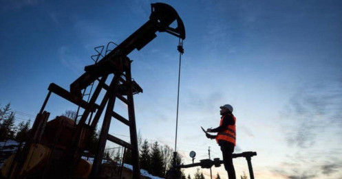 Liệu giá dầu mỏ trên thị trường thế giới có ngừng giảm?