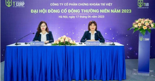 Chứng khoán Trí Việt giải trình ý kiến kiểm toán về khoản đầu tư HPG, FPT