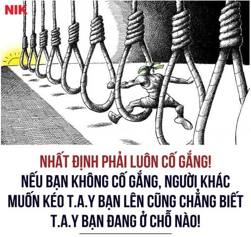 Nhất định phải luôn cố gắng