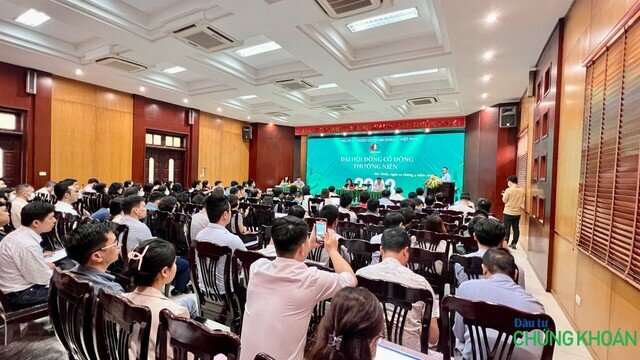 Chủ tịch Dabaco (DBC): Chúng tôi đã sử dụng hết “võ”, nhưng năm 2022 khó khăn quá…