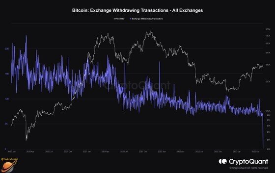 10 cá voi di chuyển lượng Bitcoin lớn nhất kể từ 2019, biến động giảm hơn nữa?