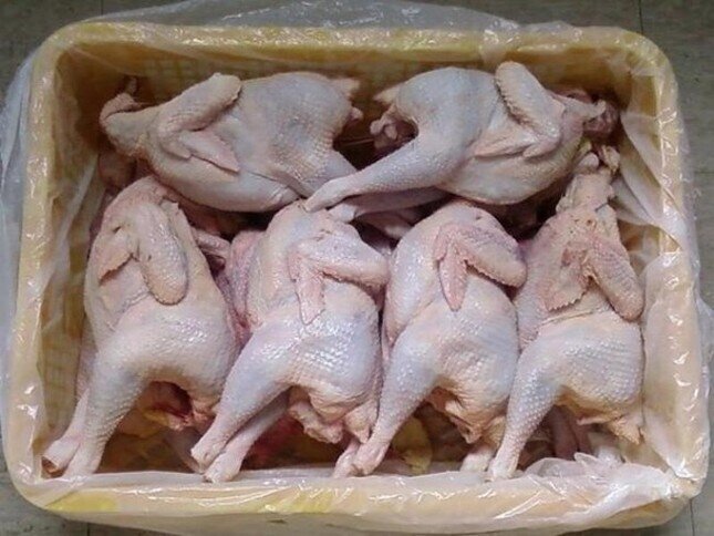 Bộ Nông nghiệp lên tiếng việc hàng chục nghìn tấn gà thải ‘tuồn’ vào Việt Nam