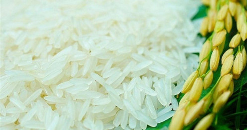 'EL Nino xuất hiện' khiến nhiều nước tăng mua gạo Việt vài chục lần