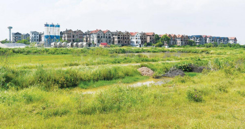 Đi tìm phân khúc chủ đạo nửa cuối 2023
