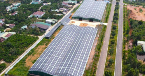 Lâm Đồng: Yêu cầu tạm dừng mua điện của doanh nghiệp "núp bóng" dự án