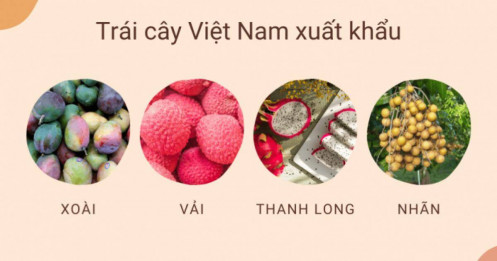 5 loại trái cây Việt Nam được Trung Quốc nhập khẩu nhiều nhất
