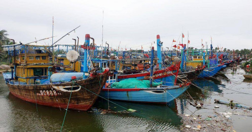 Việt Nam đặt mục tiêu gỡ thẻ vàng thủy sản tháng 10