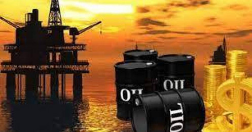 Sản lượng dầu thô của OPEC+ trong tháng 06/2023 ở mức tương đối ổn đinh