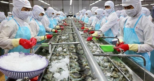 VASEP: Trung Quốc tăng cường nhập khẩu, tôm Việt Nam hưởng lợi