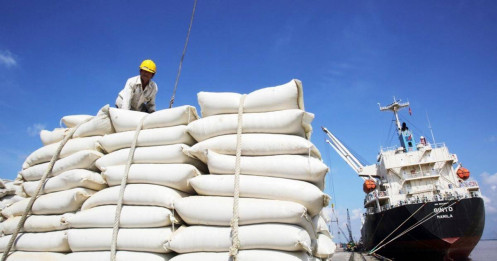 Gạo có nguy cơ đạt mức cao nhất thập kỷ khi Ấn Độ kiềm chế thị trường