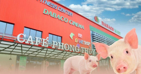 Giá lợn tăng cao, Dabaco báo lãi quý 2 gấp 23 lần cùng kỳ
