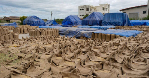 Sau lệnh cấm xuất khẩu của Ấn Độ, người tiêu dùng bắt đầu tích trữ gạo