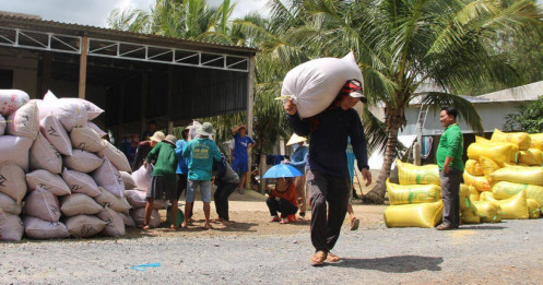Ấn Độ áp lệnh cấm xuất khẩu gạo, đây có phải cơ hội cho doanh nghiệp Việt Nam?