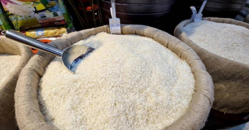 Nga tạm dừng xuất khẩu gạo đến cuối năm