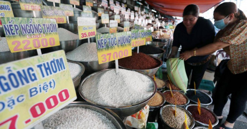 Sau lệnh cấm xuất khẩu gạo từ chính phủ Ấn Độ và Nga, giá lúa gạo tại Việt Nam tăng mạnh