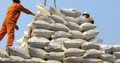 Việt Nam không lo thiếu gạo khi tăng xuất khẩu?