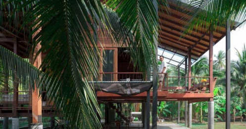 Ngôi nhà sàn gỗ nằm giữa vườn dừa xanh mát bất chấp thời tiết