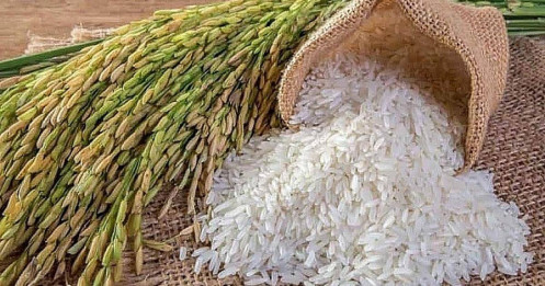Giá gạo tăng, doanh nghiệp ngành gạo chưa chắc đã có lãi