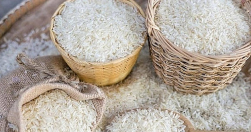 Về nhận định hạt gạo bị "cắn chia làm tám phần"