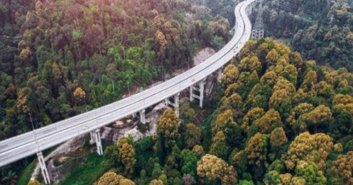 Ấn tượng cây cầu cao chót vót, vượt qua cả cánh rừng bạt ngàn, lý do đằng sau khiến CĐM khen hết lời về độ ý nghĩa