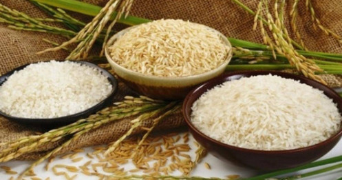 Lộc Trời (LTG): Hợp đồng mua bán gạo với Indonesia, Malaysia có thể lên đến 127 triệu USD/giao dịch
