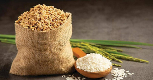 Giá gạo tăng chóng mặt, một cổ phiếu gấp 4 lần thị giá chỉ trong 10 ngày