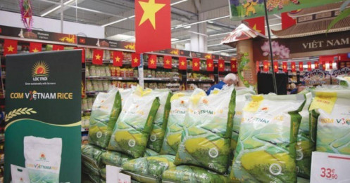 [VIDEO] Lộc Trời thắng lớn với đơn hàng xuất khẩu 100 000 tấn gạo cho nhà nước Indonesia?