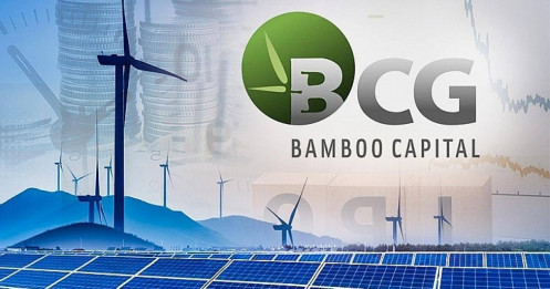 CTCP Bamboo Capital - BCG