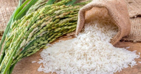 Cổ phiếu MCF tăng trần liên tiếp do giá gạo tăng mạnh