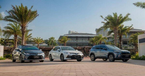 Toyota thúc đẩy dự án xăng sinh học cho xe hybrid và xăng