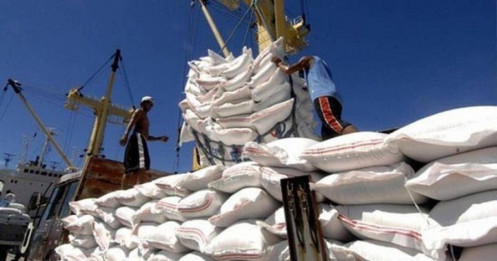 Ấn Độ có thể sớm gỡ lệnh cấm xuất khẩu gạo