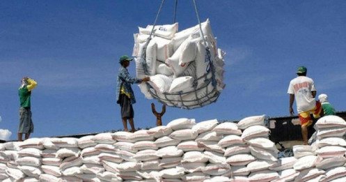Giá gạo cao: Nhận định của chuyên gia kinh tế