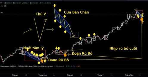 Giải mã hành vi  tạo lập nuôi tâm lý, cưa bàn chân