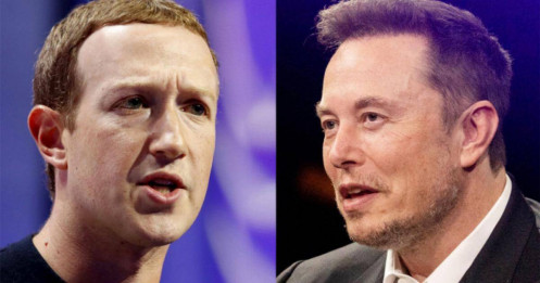 Zuckerberg nói Musk không nghiêm túc về trận đấu